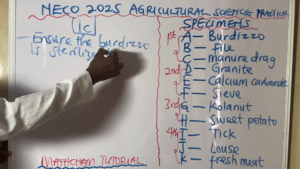 how much is neco registration 2025