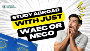 list of universities that accept neco result in nigeria