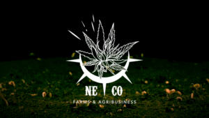 when is neco external registration closing 2025 nigeria