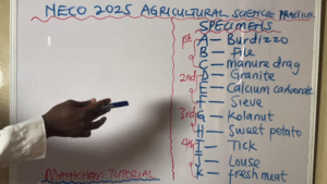 when is neco registration for 2025 starting